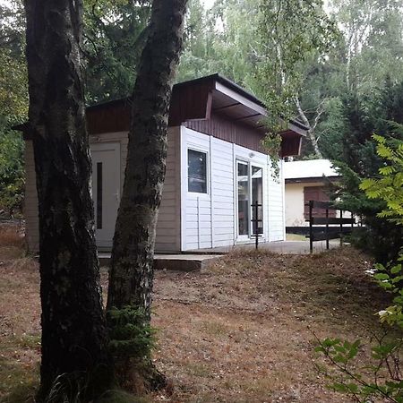 Bungalowdorf Klein Budelsdorf Алтенберг Източен Ерцгебирге Екстериор снимка