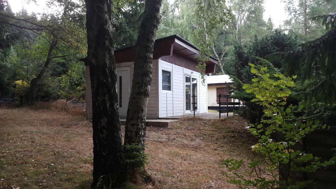 Bungalowdorf Klein Budelsdorf Алтенберг Източен Ерцгебирге Екстериор снимка